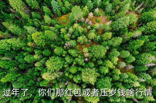 過年了，你們那紅包或者壓歲錢啥行情