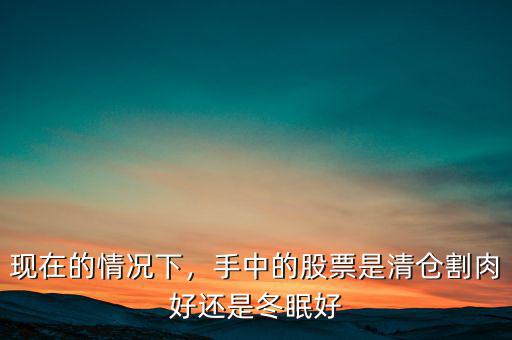 現(xiàn)在的情況下，手中的股票是清倉割肉好還是冬眠好