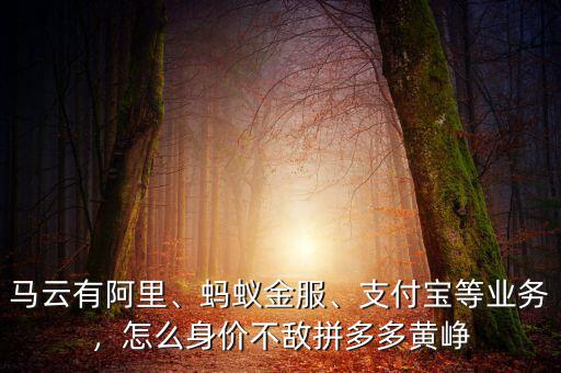 馬云有阿里、螞蟻金服、支付寶等業(yè)務(wù)，怎么身價(jià)不敵拼多多黃崢