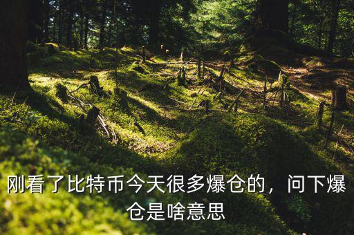 剛看了比特幣今天很多爆倉(cāng)的，問(wèn)下爆倉(cāng)是啥意思