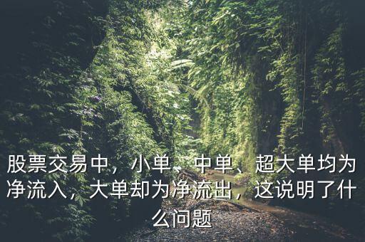 股票交易中，小單、中單、超大單均為凈流入，大單卻為凈流出，這說明了什么問題