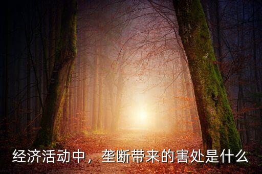 經(jīng)濟(jì)活動(dòng)中，壟斷帶來(lái)的害處是什么