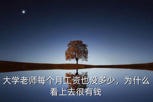 大學(xué)老師每個月工資也沒多少，為什么看上去很有錢