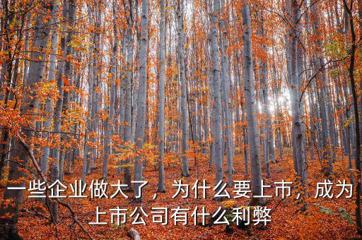 一些企業(yè)做大了，為什么要上市，成為上市公司有什么利弊
