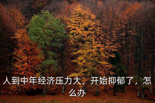 人到中年經(jīng)濟壓力大，開始抑郁了，怎么辦