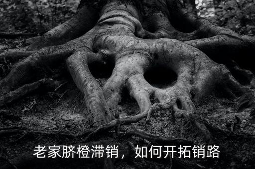老家臍橙滯銷，如何開拓銷路