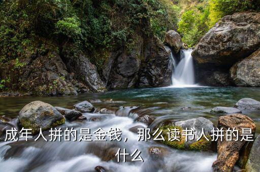 成年人拼的是金錢，那么讀書人拼的是什么