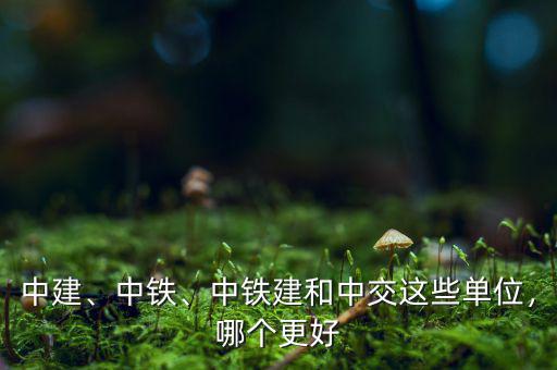 中建、中鐵、中鐵建和中交這些單位，哪個(gè)更好