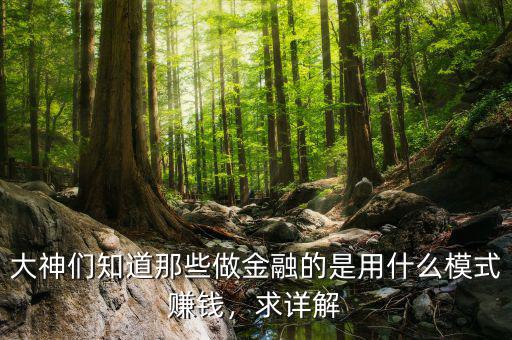 大神們知道那些做金融的是用什么模式賺錢，求詳解