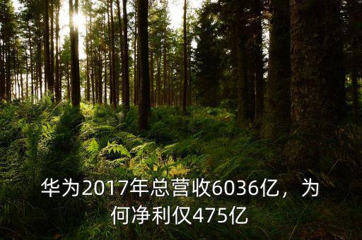 華為2017年總營(yíng)收6036億，為何凈利僅475億