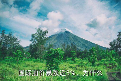 國際油價(jià)暴跌近5%，為什么