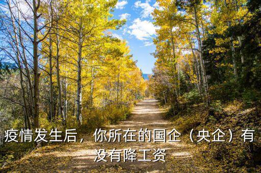 疫情發(fā)生后，你所在的國企（央企）有沒有降工資