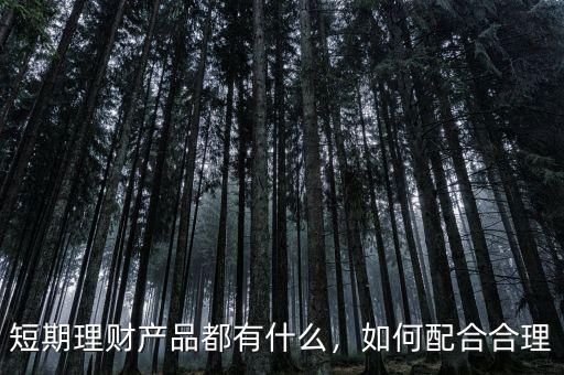 短期理財產品都有什么，如何配合合理