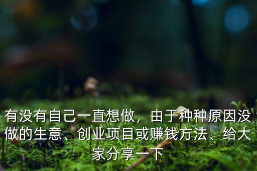 有沒(méi)有自己一直想做，由于種種原因沒(méi)做的生意、創(chuàng)業(yè)項(xiàng)目或賺錢(qián)方法、給大家分享一下