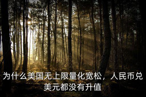為什么美國無上限量化寬松，人民幣兌美元都沒有升值