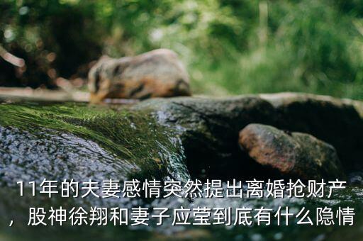 11年的夫妻感情突然提出離婚搶財產(chǎn)，股神徐翔和妻子應(yīng)瑩到底有什么隱情