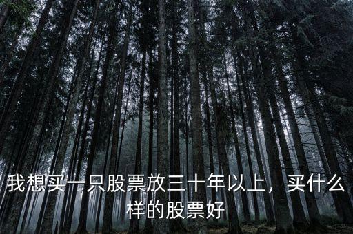 我想買一只股票放三十年以上，買什么樣的股票好