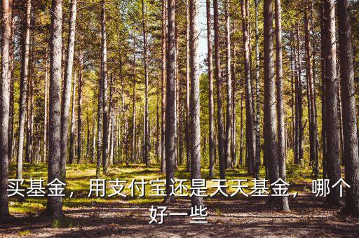 買基金，用支付寶還是天天基金，哪個好一些