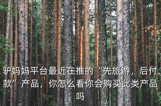 驢媽媽平臺(tái)最近在推的“先旅游，后付款”產(chǎn)品，你怎么看你會(huì)購買此類產(chǎn)品嗎