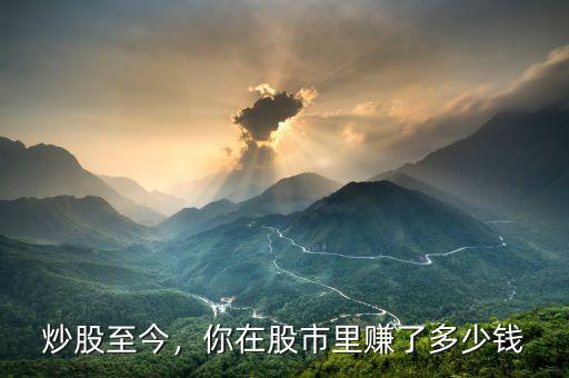 炒股至今，你在股市里賺了多少錢