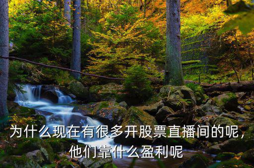 為什么現(xiàn)在有很多開股票直播間的呢，他們靠什么盈利呢