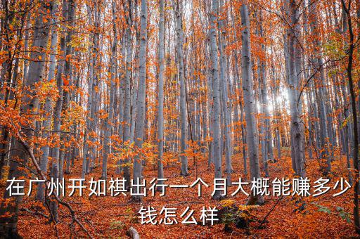 在廣州開(kāi)如祺出行一個(gè)月大概能賺多少錢怎么樣