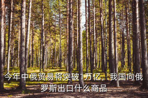 今年中俄貿(mào)易將突破1萬億，我國向俄羅斯出口什么商品