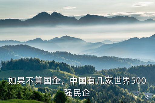 如果不算國企，中國有幾家世界500強民企