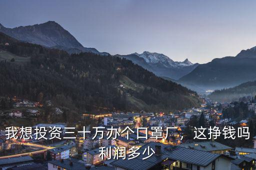 我想投資三十萬辦個口罩廠，這掙錢嗎利潤多少