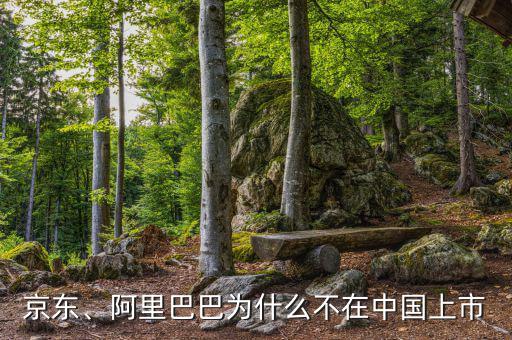 京東、阿里巴巴為什么不在中國(guó)上市