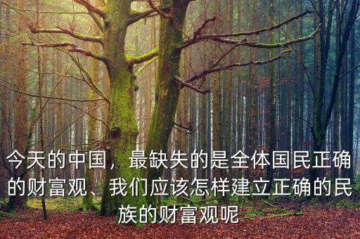 今天的中國，最缺失的是全體國民正確的財(cái)富觀、我們應(yīng)該怎樣建立正確的民族的財(cái)富觀呢