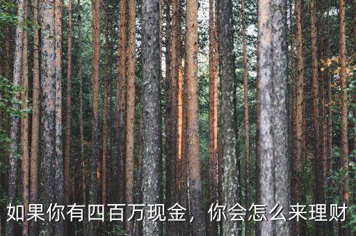 如果你有四百萬(wàn)現(xiàn)金，你會(huì)怎么來(lái)理財(cái)