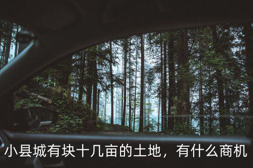 小縣城有塊十幾畝的土地，有什么商機(jī)