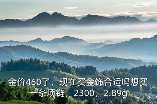 金價(jià)460了，現(xiàn)在買(mǎi)金飾合適嗎想買(mǎi)一條項(xiàng)鏈，2300，2.89g