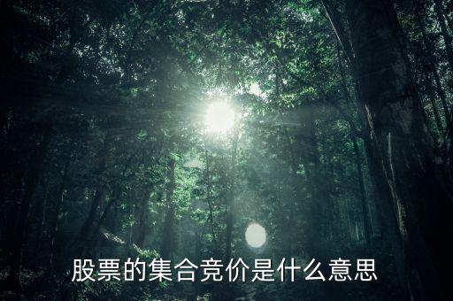 股票的集合競價是什么意思