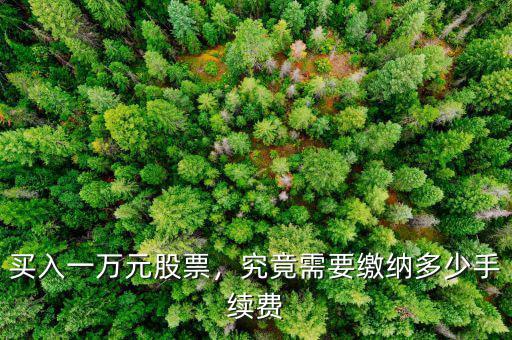 買入一萬元股票，究竟需要繳納多少手續(xù)費(fèi)