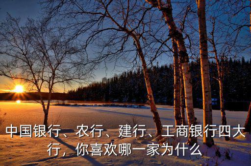 中國銀行、農(nóng)行、建行、工商銀行四大行，你喜歡哪一家為什么