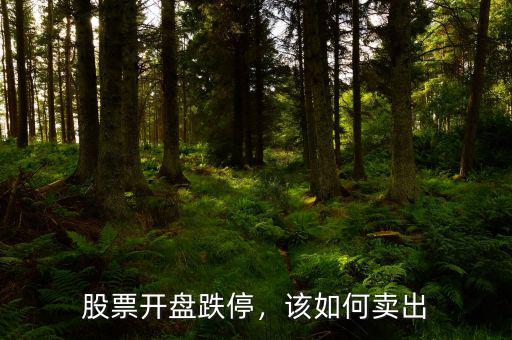股票開盤跌停，該如何賣出
