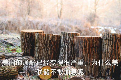 美國(guó)的通脹已經(jīng)變得很嚴(yán)重，為什么美聯(lián)儲(chǔ)不敢加息呢