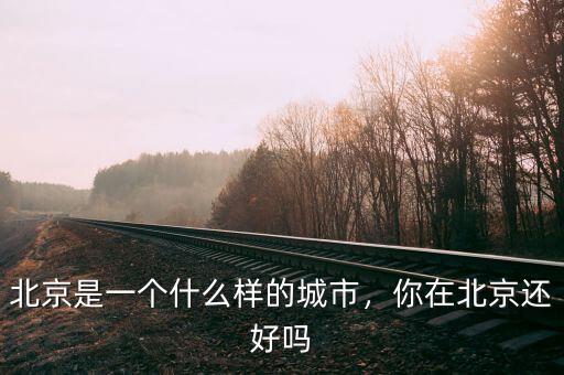 北京是一個什么樣的城市，你在北京還好嗎