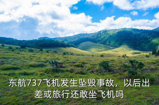 東航737飛機(jī)發(fā)生墜毀事故，以后出差或旅行還敢坐飛機(jī)嗎