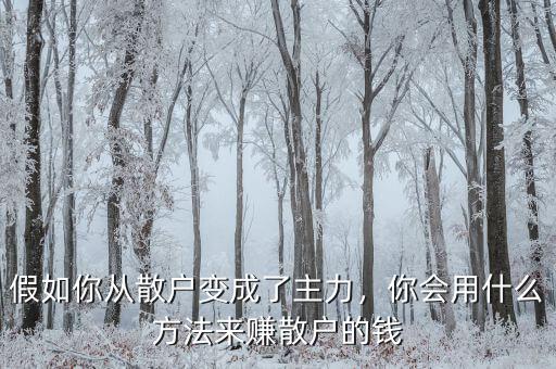 假如你從散戶變成了主力，你會用什么方法來賺散戶的錢