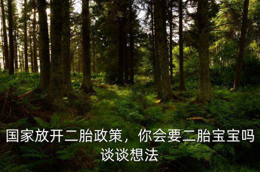 國(guó)家放開(kāi)二胎政策，你會(huì)要二胎寶寶嗎談?wù)勏敕? class=