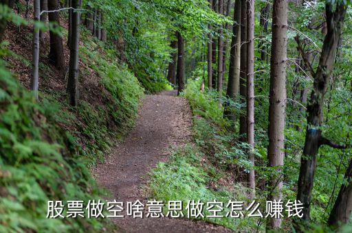 做空貨幣怎么賺錢(qián),股票做空啥意思