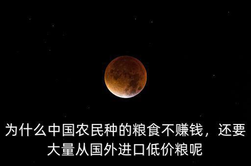 為什么中國農(nóng)民種的糧食不賺錢，還要大量從國外進(jìn)口低價糧呢
