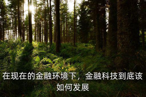 在現(xiàn)在的金融環(huán)境下，金融科技到底該如何發(fā)展