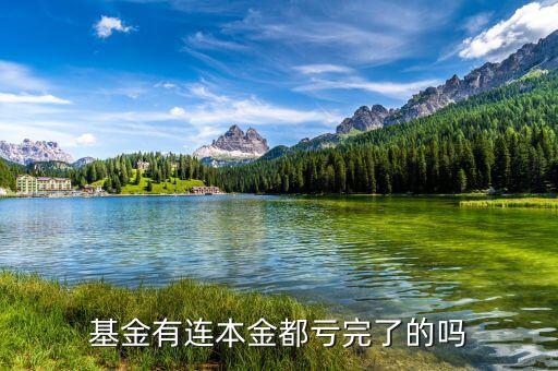 基金本金虧完了怎么辦,基金已虧到本金了。該怎么辦