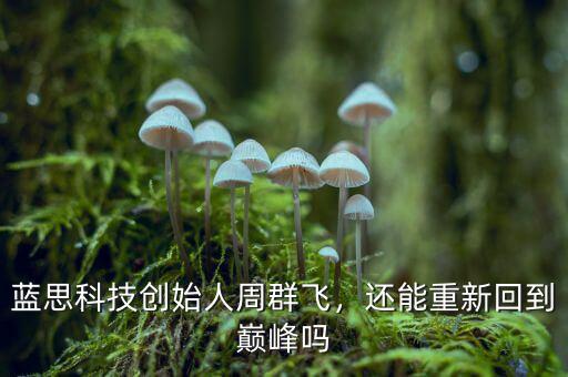 藍(lán)思科技創(chuàng)始人周群飛，還能重新回到巔峰嗎