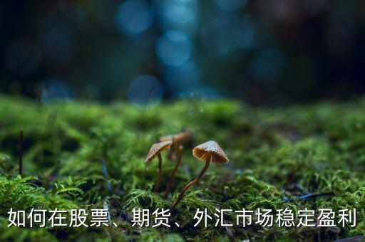 如何在股票、期貨、外匯市場穩(wěn)定盈利