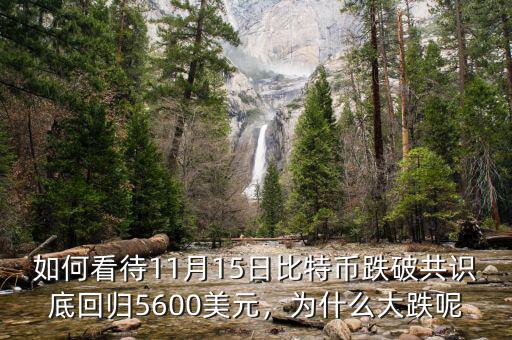 如何看待11月15日比特幣跌破共識(shí)底回歸5600美元，為什么大跌呢
